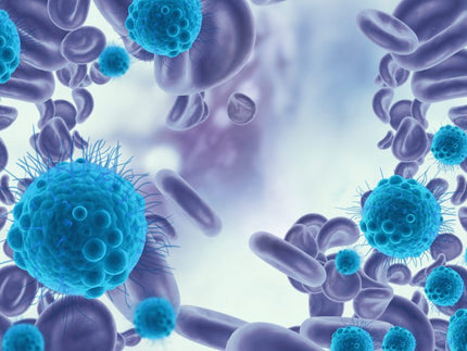 S. aureus: the bacterial culprit that drives atopic dermatitis (National Eczema Association)